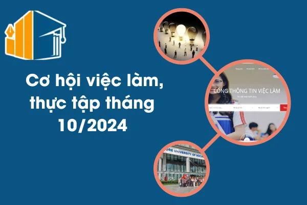 Cơ hội việc làm, thực tập tháng 10/2024