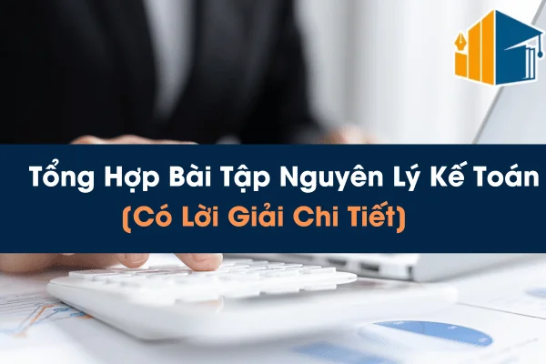 Tổng Hợp Bài Tập Nguyên Lý Kế Toán [Có Lời Giải Chi Tiết]