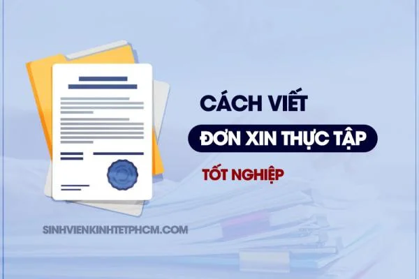 Cách Viết Đơn Xin Thực Tập Tốt Nghiệp