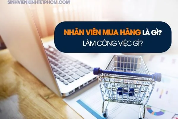 Nhân Viên Mua Hàng Là Gì? Làm Công Việc Gì?