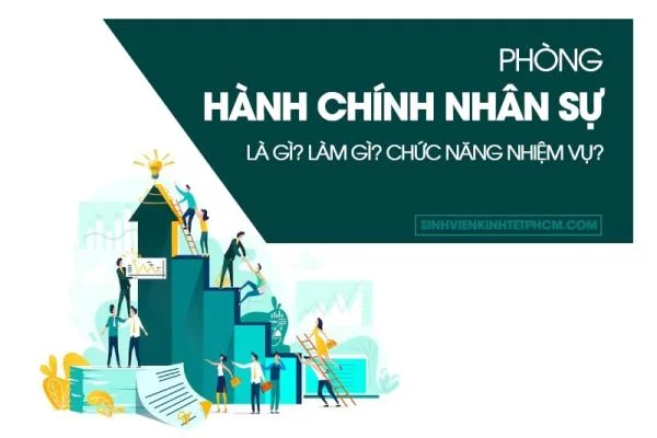 Phòng Hành Chính Nhân Sự Là Gì? Làm Gì? Chức Năng Nhiệm Vụ?