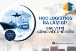 Học Logistics Ra Làm Gì? Các Vị Trí Công Việc Phổ Biến