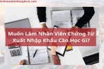 nhan-vien-chung-tu-xuat-nhap-khau-can-hoc-gi