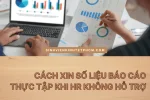Cách Xin Số Liệu Báo Cáo Thực Tập Khi HR Không Hỗ Trợ
