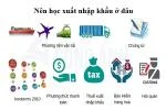 Nên học xuất nhập khẩu ở đâu