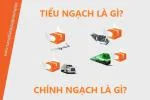 Tiểu Ngạch Là Gì? Chính Ngạch Là Gì?