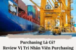 Purchasing Là Gì? Review Vị Trí Purchasing (Nhân Viên Mua Hàng)