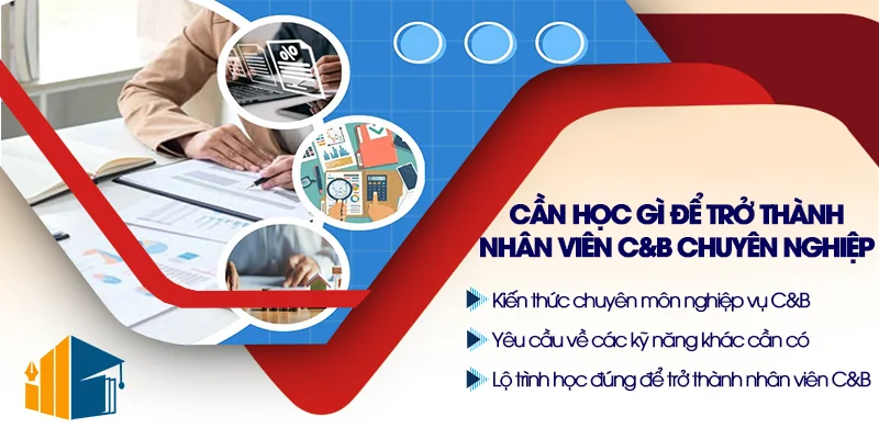 Cần học gì để trở thành nhân viên C&B chuyên nghiệp