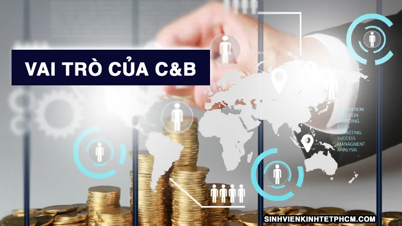 Vai trò của C&B