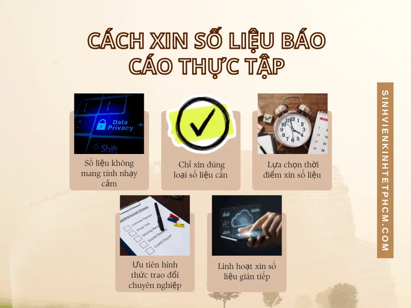 Cách xin số liệu báo cáo thực tập