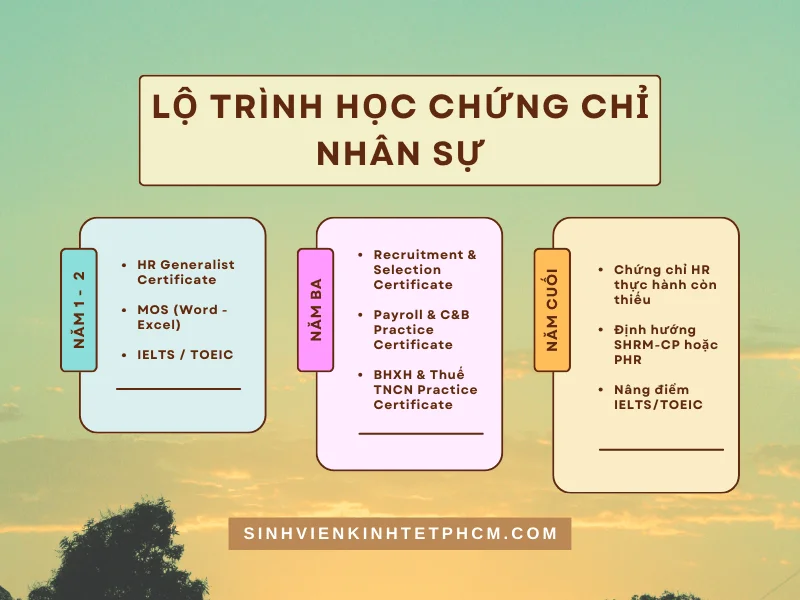 LỘ TRÌNH HỌC CHỨNG CHỈ NHÂN SỰ