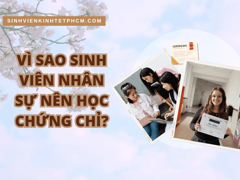 Vì sao sinh viên nhân sự nên học chứng chỉ