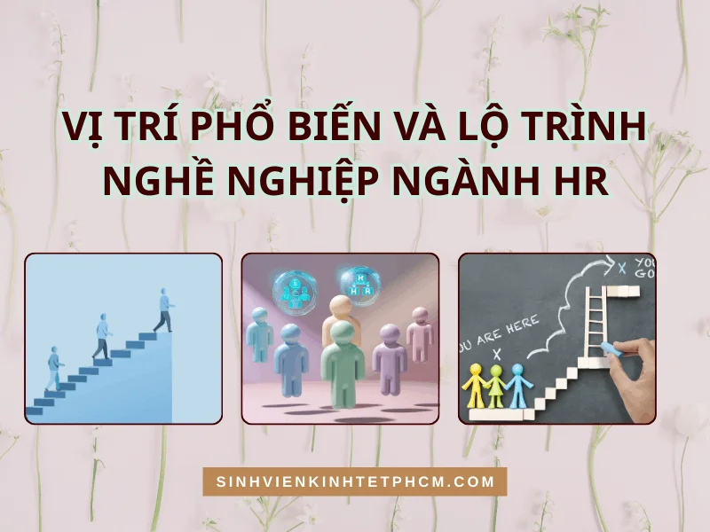 vị trí phổ biến và lộ trình nghề nghiệp ngành HR