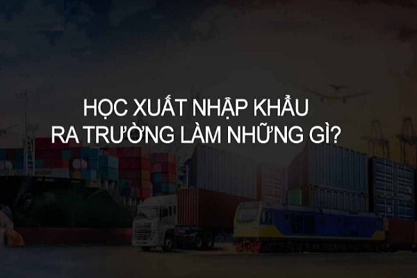 Học xuất nhập khẩu ra làm gì?