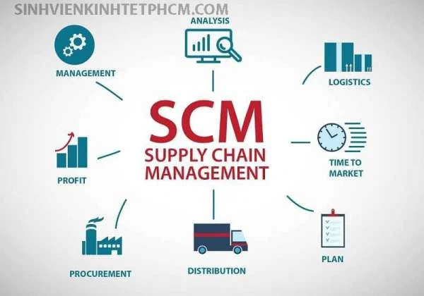 Supply Chain Management - SCM Là Gì? Các Phần Mềm SCM Phổ Biến